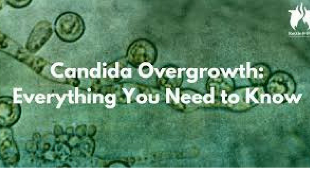 What to do with Candida Overgrowth