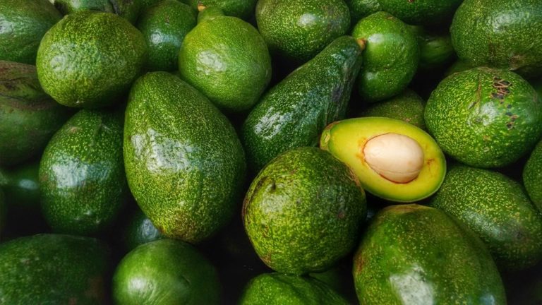 An Avocado A Day Keeps Your Gut Microbes Happy, Study Shows