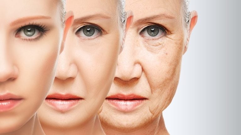 Scientists Find How Aging Spreads in Blood and Reverse It