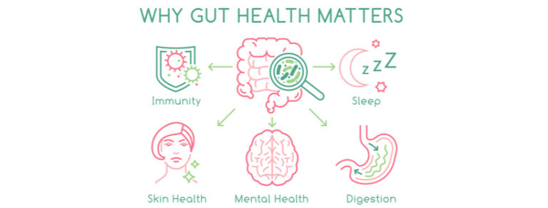 The Gut Brain Health FAQ Guide – Answers to the Most asked Questions About Gut Health & The Mind!