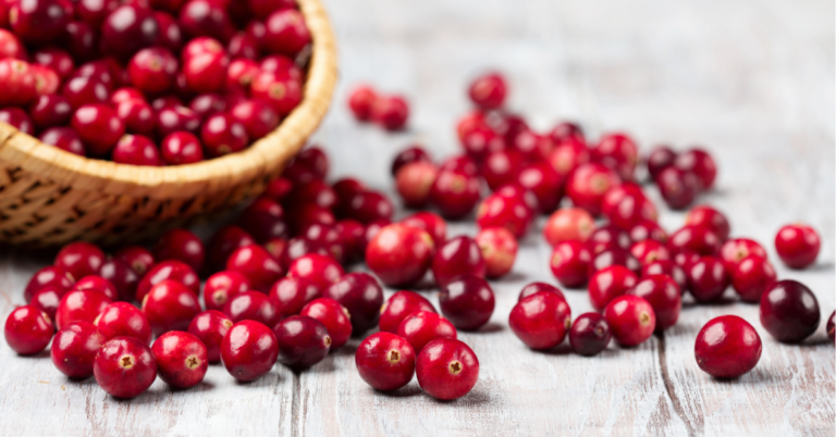 Can a Cup of Cranberries a Day Keep Dementia Away?