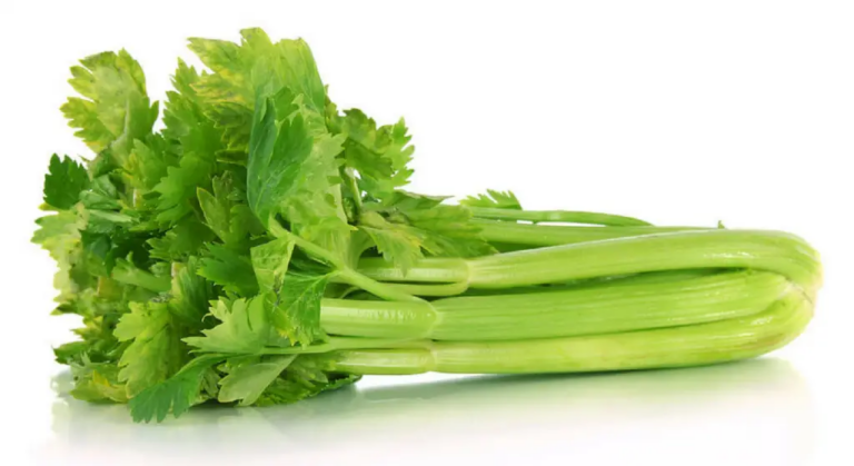 Top Health Benefits of Celery & Nutritional Values