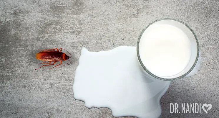 Cockroach Milk- The Newest Superfood?