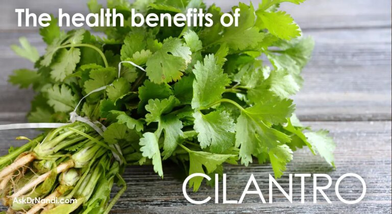 Health Benefits of Cilantro