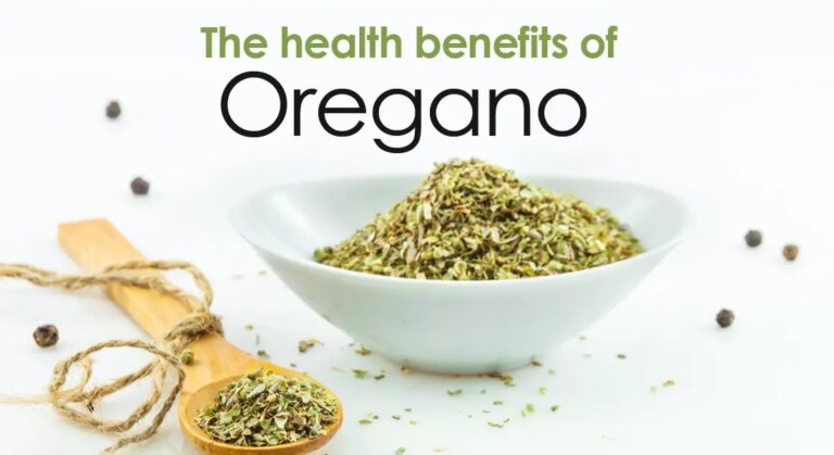 Health Benefits of Oregano