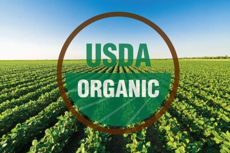 10 Top Organic Food Makers Now Owned By Huge Corporations That You Should Know