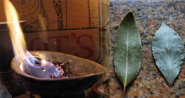 Why You Should Burn a Bay Leaf at Night: Health Benefits and Tips