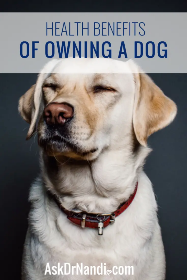 Benefits of Owning a Dog | Ask Dr. Nandi | Official Site