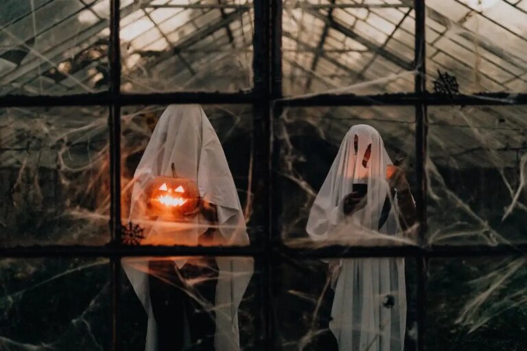  Behind the Halloween Decor: Fake Spider Webs and Their Real Impact