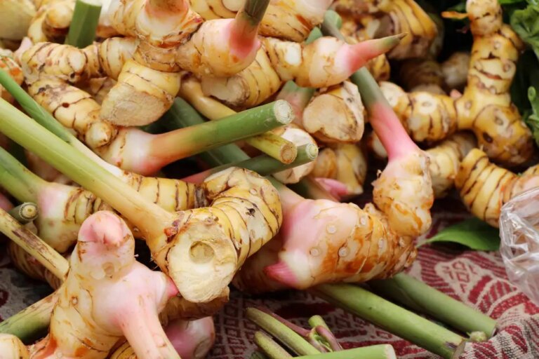 Galangal: The Powerhouse Root Spice That Fights Cancer and More