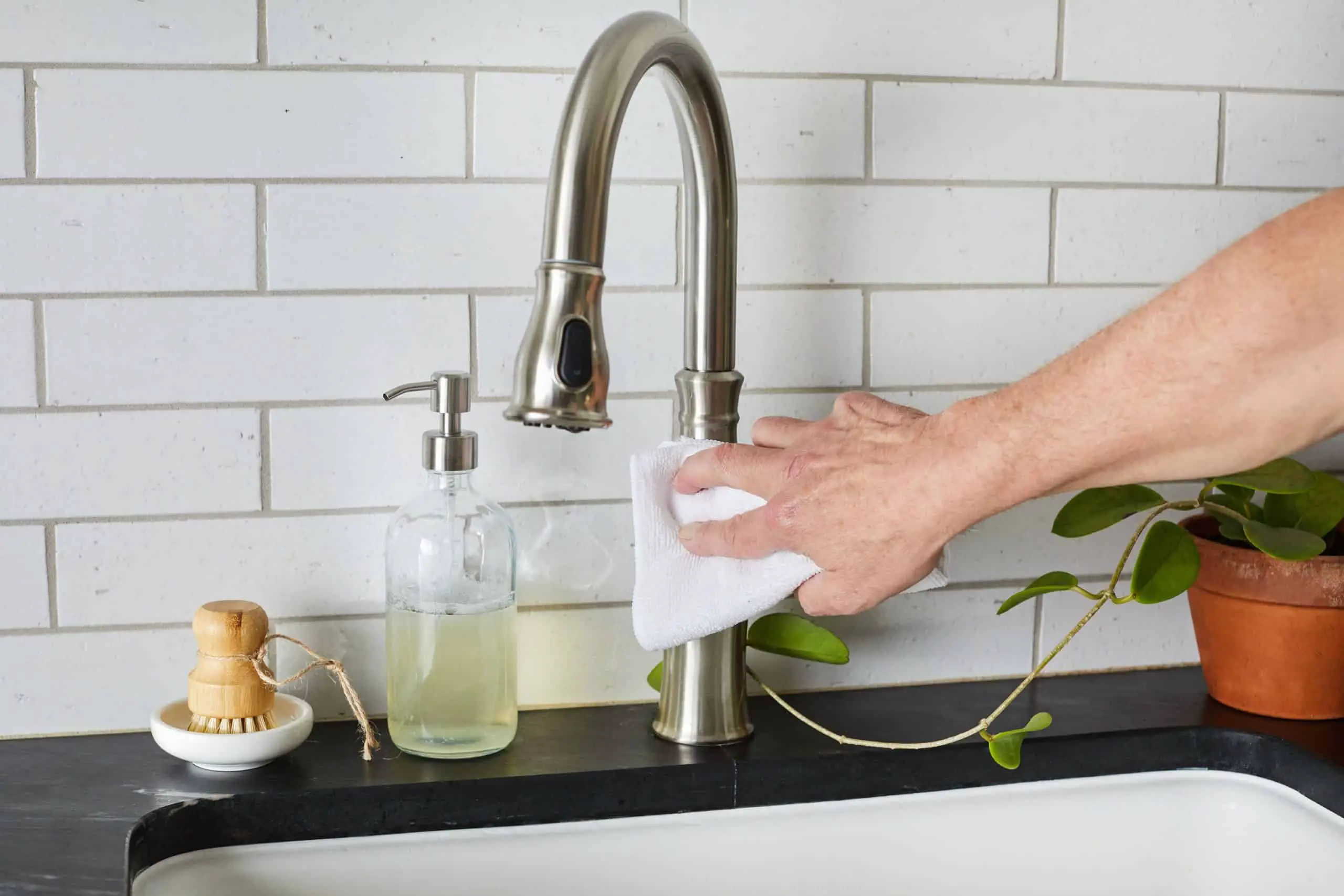 Kitchen sponges: 5 remedies to sterilize them and free them from germs and  bacteria