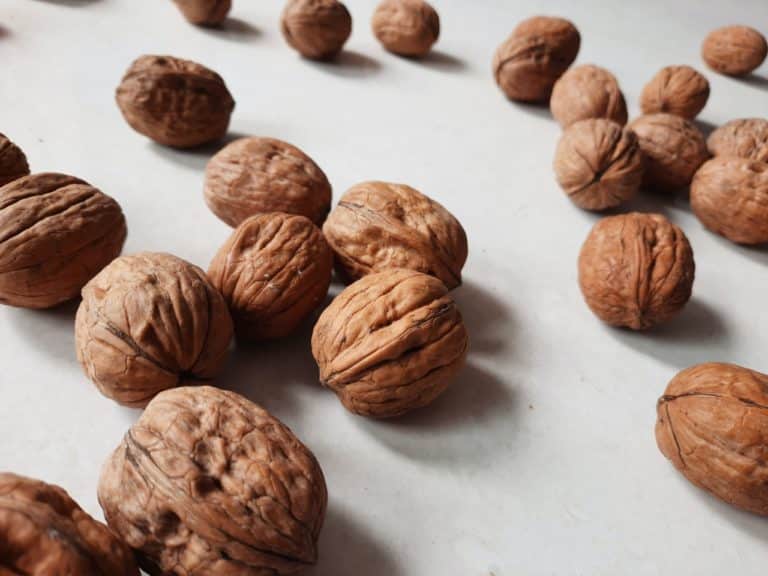 Grandma’s Kitchen Wisdom: The Health Benefits of Boiled Walnuts