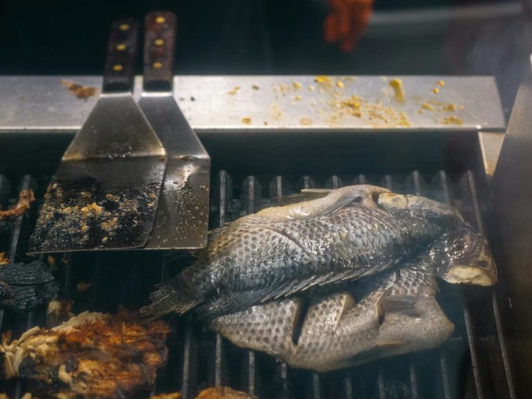 Is Tilapia Safe? The Hidden Dangers of Dioxin in Your Fish