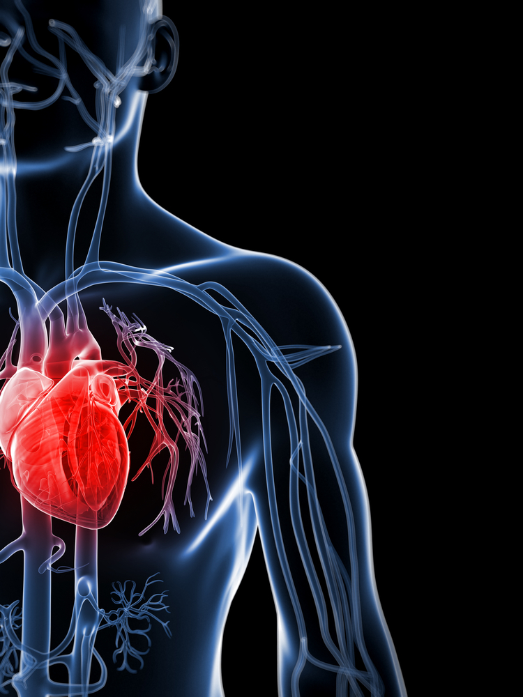 Navigating the Silent Pathways of Heart Health: Unveiling the Hidden Dangers of Clogged Arteries
