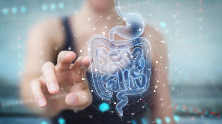 The Surprising Gut-Brain Connection: How Digestive Health Affects Your Brain