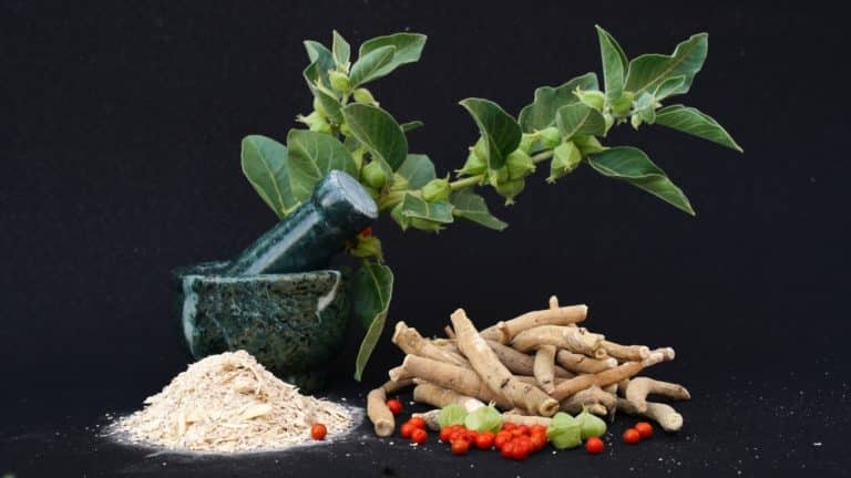 Nature’s Xanax: All You Need to Know About Ashwagandha for Stress and Anxiety