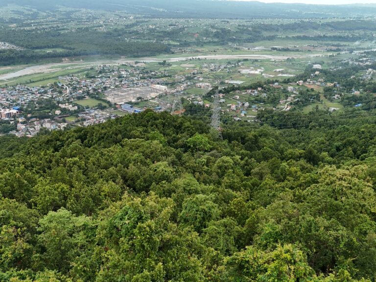 Scientists Track 60% Drop in Nature Connection Across 200 Years