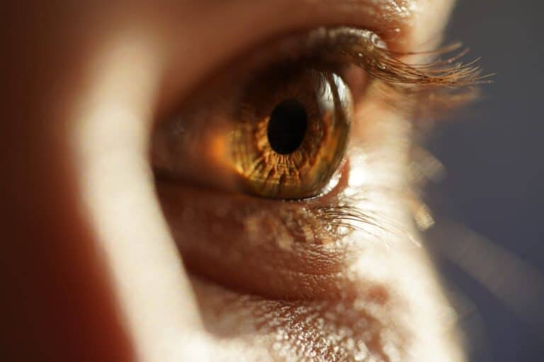 Scientists Regenerate Eyes with Stem Cells Restoring Corneas and Full Vision in Patients