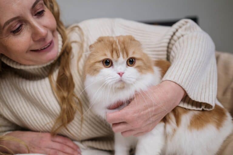 Owning a Cat Could Help You Avoid a Heart Attack, According to Science