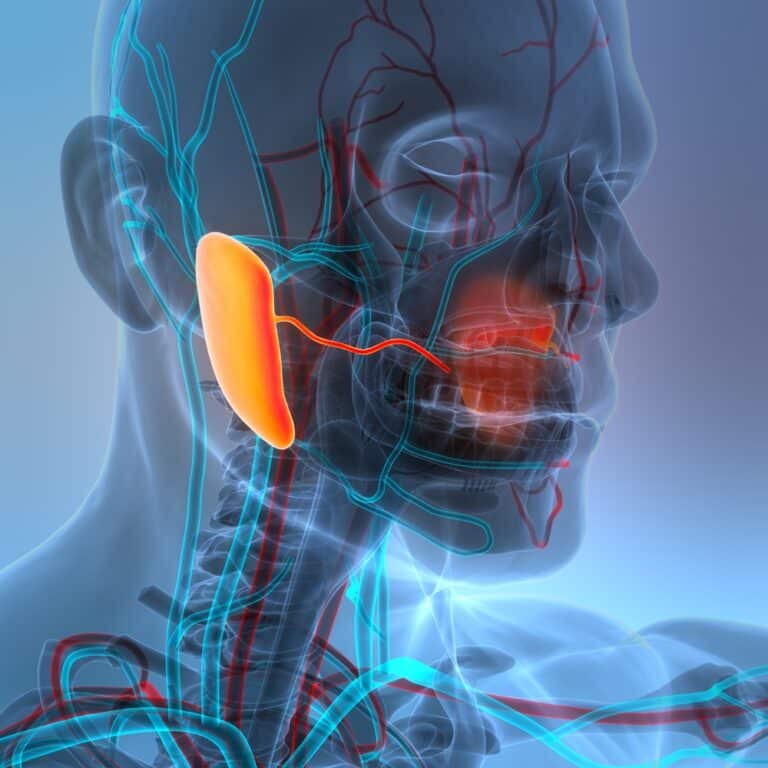 New Organ Discovery Behind Your Nose Could Change Cancer Treatment Forever