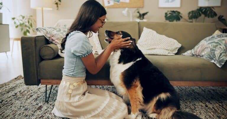 How Your Dog’s Behavior Mirrors Your Own: The Science Behind Personality and Health