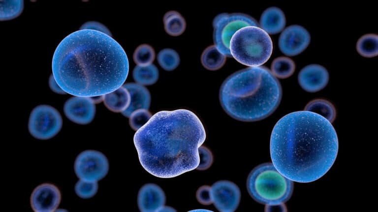 A Nobel Prize Discovery Could Change Everything About Autoimmune Disease