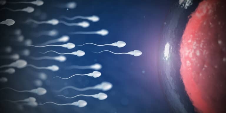 Your Sperm Gets Riskier With Every Birthday, and a New Study Shows Exactly Why