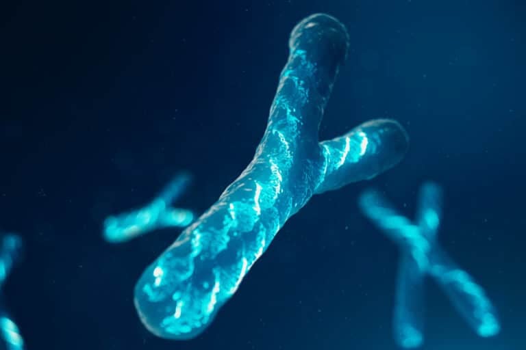 Why the Y Chromosome Is Changing Faster Than We Thought