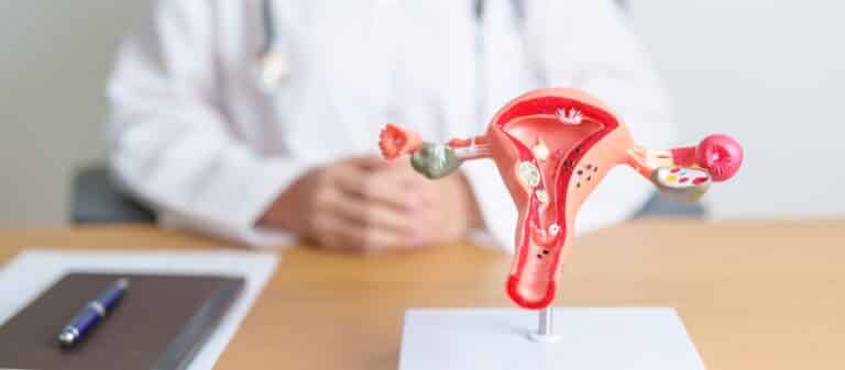 Scientists Have Successfully Paused Ovarian Aging, Potentially Delaying Menopause by Years