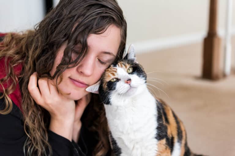 Your Cat Headbutts You Because They Trust You. Here’s What the Science Says About Bunting
