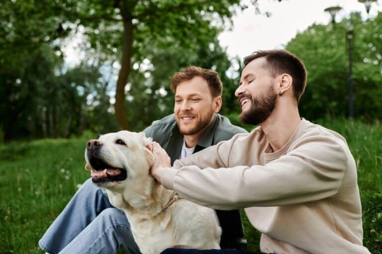 Study Finds Link Between Lower Cognitive Ability and Homophobic Attitudes 
