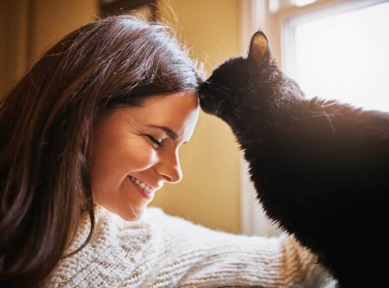 Your Cat’s Purr May Be Doing More for Your Health Than You Think