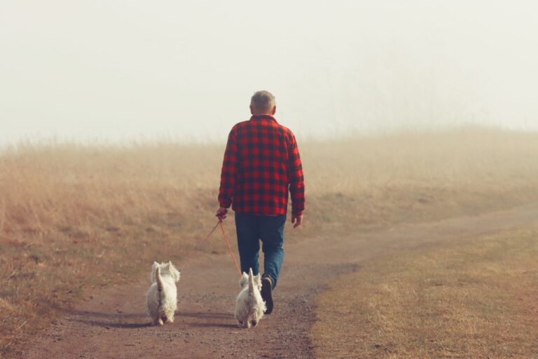 Scientists Find Daily Walking Could Boost Human Life Expectancy by 11 Years