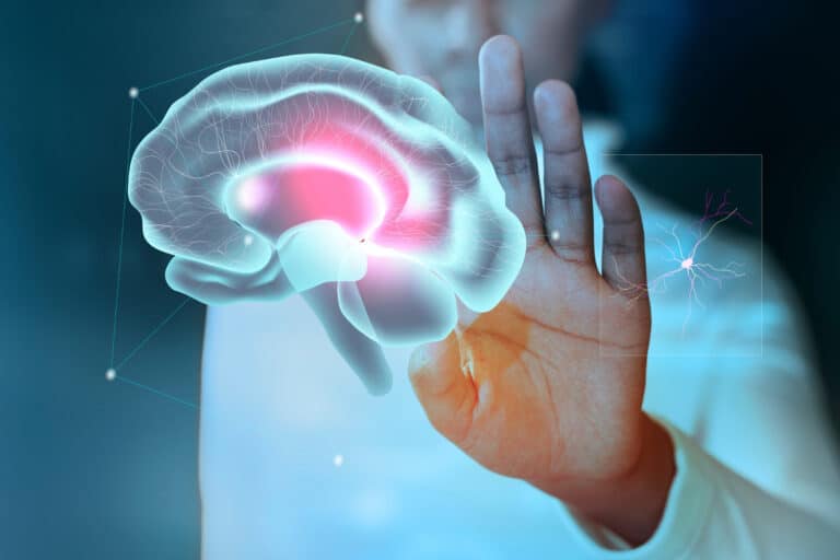 Researchers Pinpoint the Brain Protein That Drives Age-Related Memory Loss