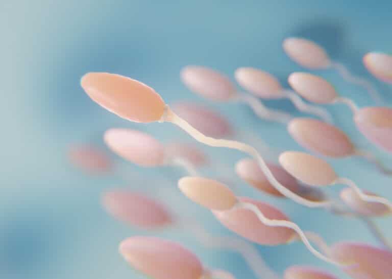 Could Damaged Sperm Be the Reason Behind Repeated Miscarriages?