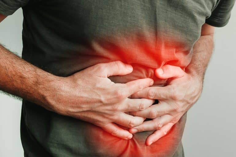 What Happens to Your Intestinal Barrier When You Run Low on Fiber