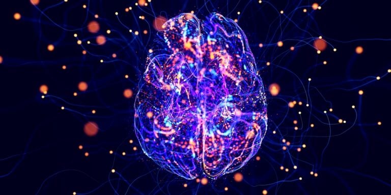Researchers Pinpoint the Brain Protein That Drives Age-Related Memory Loss