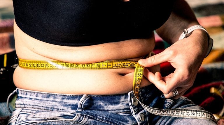 A Biological Switch That Blocks Fat Storage Has Been Found