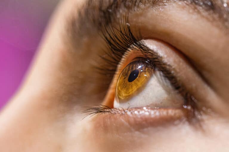 New Research Offers Hope for Retinal Disease by Targeting a Protein That Blocks Repair